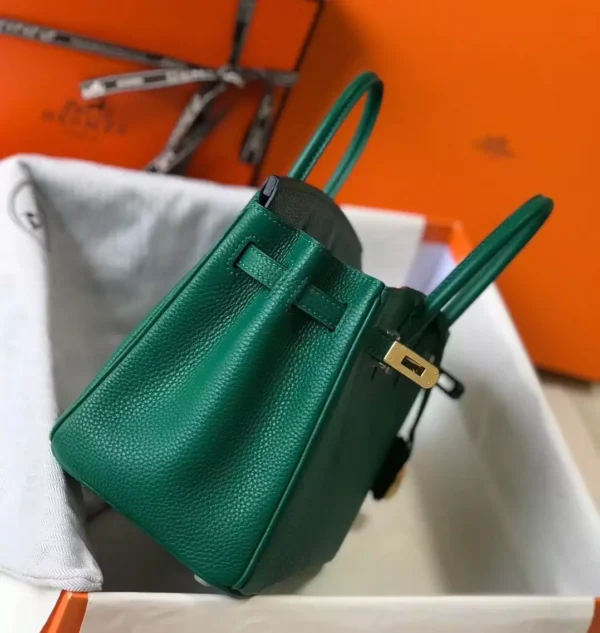 hermes柏金包25cm Vertigo Clemence皮革GHW-HW016：圖片 4